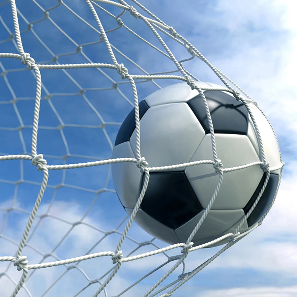 Portable Soccer Practice Net